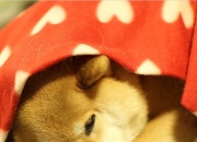 雷火电竞亚洲先驱-醇酒与烈焰，莫德里奇的古典终章，勒沃库森的现代宣言