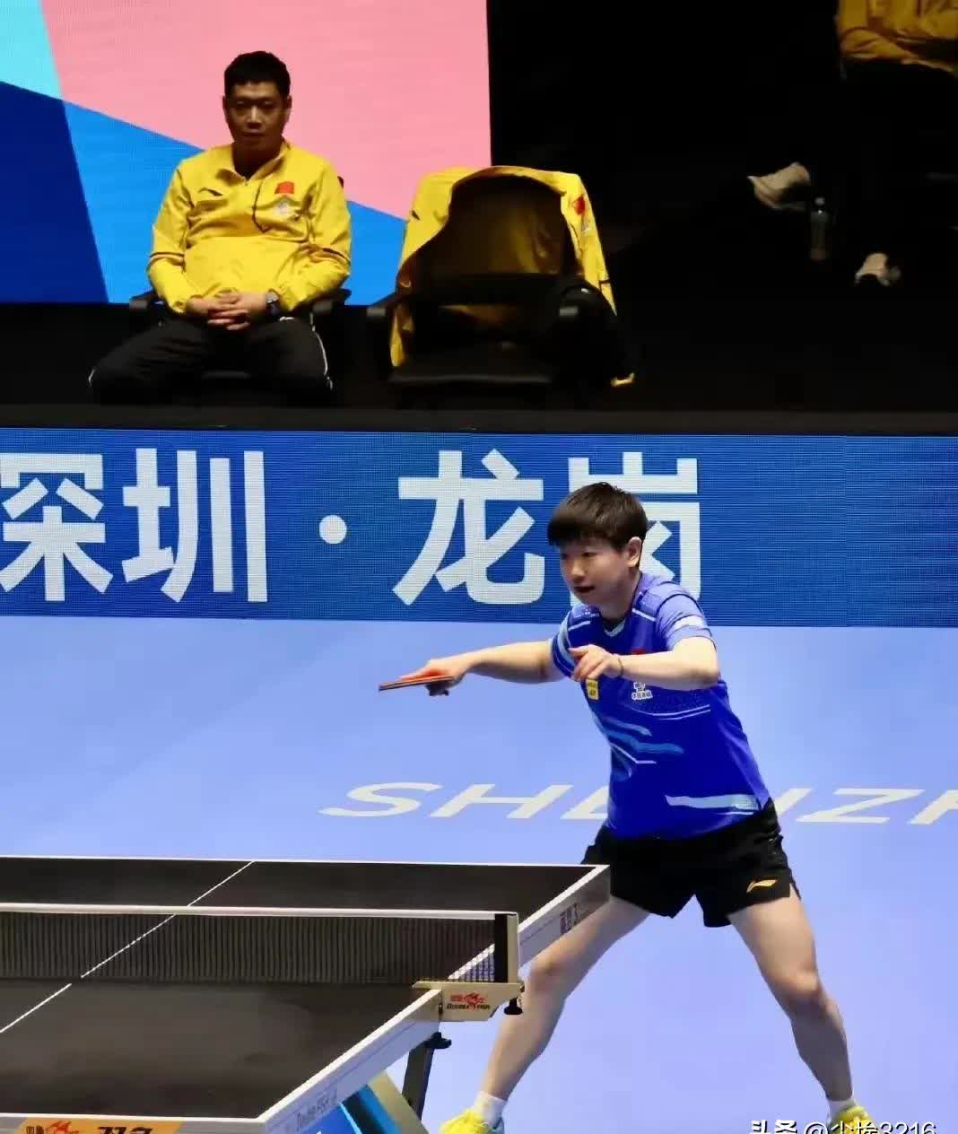 印尼羽毛球队血洗泰国羽毛球队，马琳绝境逆转的简单介绍